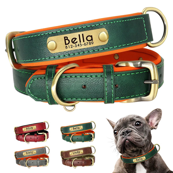 Customised Dog Collar